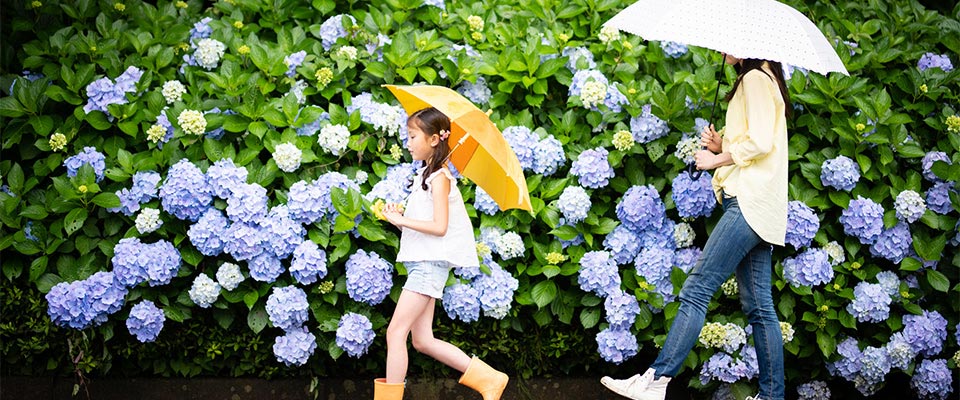 6月の梅雨シーズンは「羽毛肌掛け布団」を使おう