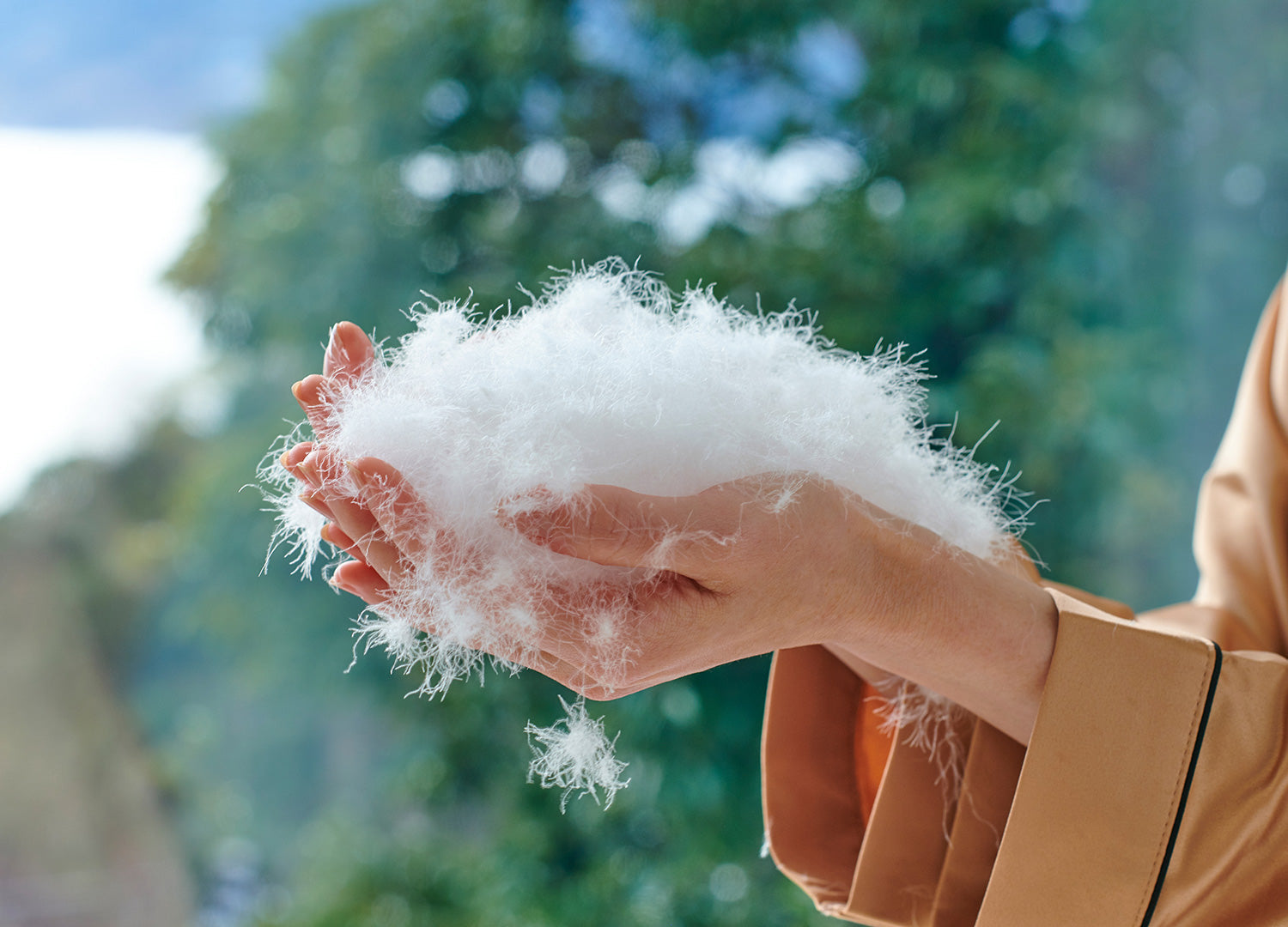 羽毛布団 - ダブルサイズ – 和雲