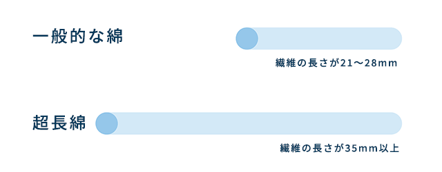 一般的な綿100%と超長綿の比較