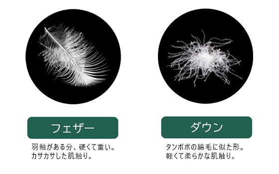 クラシカル羽毛枕 – 和雲